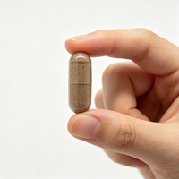 Capsules Herbales Complexe Safran Ashwagandha 60 Unités – Soutien au Soulagement du Stress, Amélioration du Sommeil, Ambiance Positive – Pour Adultes, Végétaliennes, OEM, Marque Privée