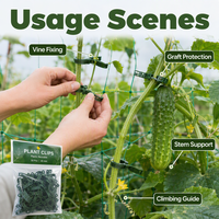 Outil de greffage réutilisable en plastique pour la protection des plantes grimpantes, clips de jardinage pour concombres, poivrons, tomates, légumes, support de plantes