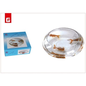 Acquario di vetro 24x7.5cm per pesci e decorazione