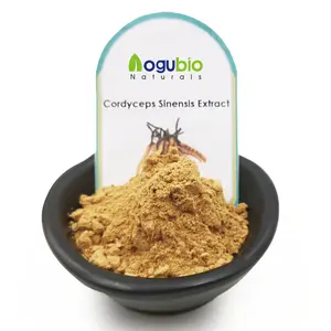 Organic Pure Cordyceps Sinensis Extract Powder Mushroom 30%- 50% Polysaccharides Cordyceps Sinensis CS-4 Extract Powder