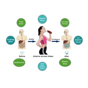 Oem Chất lượng cao thép không gỉ Alkaline chai nước ph9.5 lọc kép hút chân không sức khỏe năng lượng cup hoàn hảo món quà du lịch - Product Image 3