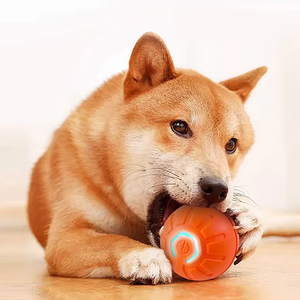 Nuovo pet jumping <span class=keywords><strong>ball</strong></span> cane giocattolo morso palla automatica pet <span class=keywords><strong>dog</strong></span> palla - Product Image 4