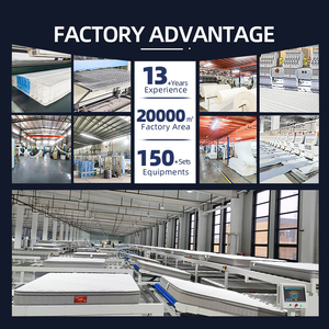 12 inch Kinh Tế ru ngủ Túi mùa xuân Nệm Polyester dệt kim nệm bọt Nệm chỉnh hình đồ nội thất nhà mềm bọt hiện đại - Product Image 5