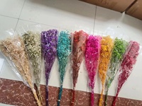 120g Vente en Gros Usine de Fleurs Séchées Naturelles Stabilisées Gypsophile Souffle de Bébé, Bouquet Floral pour Mariage Fête des Mères Noël