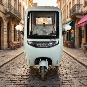 Tricycle cabine entièrement fermé à 3 roues, scooter de mobilité tout-terrain avec toit et portes - Product Image 2