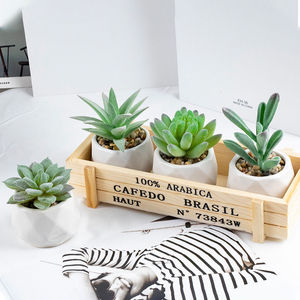 Paquetes DE CUIDADO DE MOQ bajo para ella con calcetines de Manta Pinza de pelo suculenta Pensando en ti Regalos para mujeres - Product Image 4