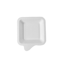 SUMKOKA Assiettes carrées en bagasse de canne à sucre, mini-contenants jetables pour gâteaux et amuse-gueules