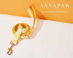 Conjunto de Lazo Personalizado de Terciopelo Sólido con Nombre Grabado, Collar Personalizado para Cachorro - Product Image 4