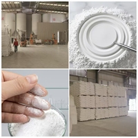 Silice fumée hydrophobe en poudre de dioxyde de silicium pour revêtement, anti-crépaison, faible absorption d'huile, résistante à la chaleur, pour caoutchouc silicone