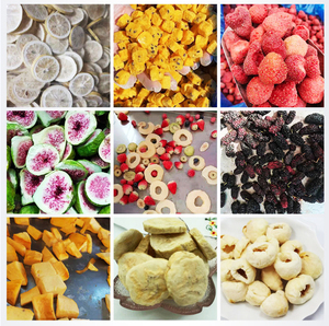 Dây chuyền sản xuất đông khô dâu tây chất lượng cao HuChuan, thiết bị đông khô chân không nhiệt độ thấp, máy ly tâm đông khô - Product Image 5