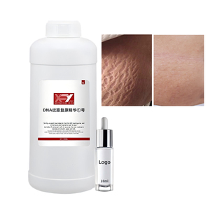 Kit de <span class=keywords><strong>camouflage</strong></span> des vergetures PDRN Lines DNA Regeneration pour microblading pour l'académie - Product Image 2