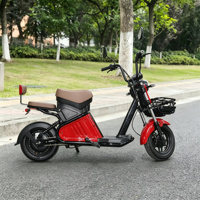 Vélo électrique 60V 500W 800W avec batterie au lithium, moteur sans balais, pneu sous vide 14 pouces, double suspension, vitesse 60 km/h, modèle E Citye EBike