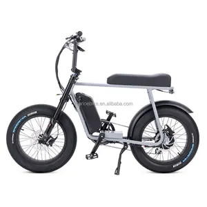 Suspensão garfo 36V 250W 15Ah Electric Off-Road City Ebike bicicleta gorda MARIO