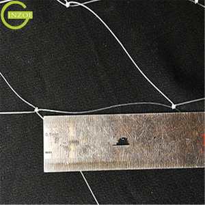 Proveedor de China Weaver Bird Netting para plantar árboles - Product Image 2