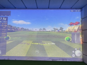 Machines de jeu de golf sportives tendance pour centres commerciaux, simulation réaliste, à monnayeur - Product Image 6