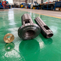 Tornillo y Cilindro 75-35 Personalizados Directo de Fábrica China para Extrusora de Plástico, Suministro a Granel para Equipos de Granulación de Plástico