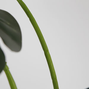 4ft Faux <span class=keywords><strong>Albo</strong></span> Monstera <span class=keywords><strong>Plante</strong></span> Artificielle Monstera <span class=keywords><strong>Plante</strong></span> avec Feuilles Réalistes en Pot pour Intérieur Maison Bureau Jardin Décor - Product Image 4