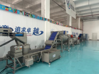 Aanpasbare machine voor het wassen, sorteren en luchtdrogen van kersen, aardbeien, bosbessen, aardappelen, wortelen, appels, mango's en avocado's, CE-gecertificeerd