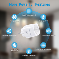 Interrupteur à prise Zigbee 1 canal Bilihondim avec surveillance de la puissance 200W, compatible Google Assistant, contrôle sans fil