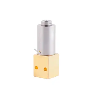 YONGCHUANG YCLT51 High Flow Proportional Modulation Gas Medical Flow Control Solenoid Valve High Precision