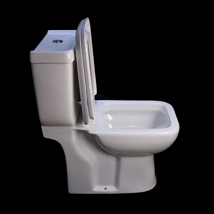 全面的经济欧洲双冲马桶