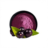 Poudre de fruits, Poudre de baies d'açaï, Poudre de baies d'açaï lyophilisée, Poudre concentrée, Matières premières alimentaires