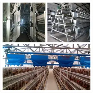 High Quality H Type Chicken Cages Egg Layer Layer Quail Cages For Sale Chicken Layer Cage
