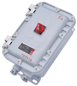 Disjoncteur antidéflagrant IP65 IIB IIC, équipement de contrôle d'usine personnalisé, interrupteur industriel pour navires océaniques - Product Image 1