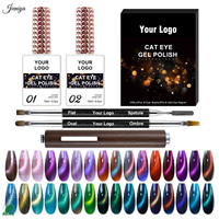 Kit de vernis gel UV pailleté effet œil de chat OEM&ODM avec pinceau à double tête noir et baguette magnétique pour la manucure