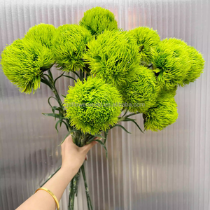 <span class=keywords><strong>Fleurs</strong></span> artificielles en pierre verte de <span class=keywords><strong>bambou</strong></span>, style minimaliste haut de gamme, toucher doux, faites à la main, vente en gros, décoration de remise de diplôme - Product Image 4