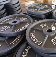PINJIAN Plaques de musculation en fonte de haute qualité pour la musculation et le fitness, vente en gros
