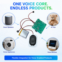 Carte mère contrôlée par IA avec WiFi, BLE, commandes vocales, sortie de lumière RVB, micrologiciel personnalisé et services d'intégration d'appareils intelligents