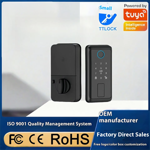 अमेरिकी शैली होम स्मार्ट लॉक के साथ फिंगरप्रिंट और पासवर्ड स्वचालित लकड़ी का दरवाजा लॉक अपार्टमेंट क्लाउड डेटा स्टोरेज विकल्प - Product Image 3