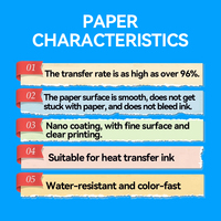 Película PET para Sublimación en Hojas A3 y A4, Papel de Transferencia de Calor para Impresión DTF e Impresora de Inyección de Tinta, Suministro de Fábrica