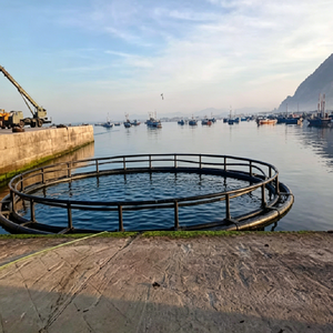 Équipement d'aquaculture : Cages flottantes pour l'élevage et l'éclosion des poissons à vendre, epuisette Pour Poisson, jaring Sangka Ikan - Product Image 5