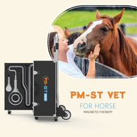 Système de magnétothérapie PMST NEO PEMF mobile sur chariot pour la rééducation des chevaux