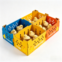 Boîtes en carton ondulé vierges avec trous d'aération, boîte d'emballage pour animaux de ferme, pour poulets, lapins, petits animaux, expédition en gros
