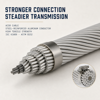 Kabel Konduktor Telanjang ACSR Baja Galvanis 7 Inti 33.62mm² Sparrow ASTM B232 Kabel ACSR untuk Harga Pembangkit Listrik Tenaga Surya