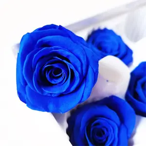 Eternal Forever Flowers Rose Head Buds Preserved Roses for Decoration