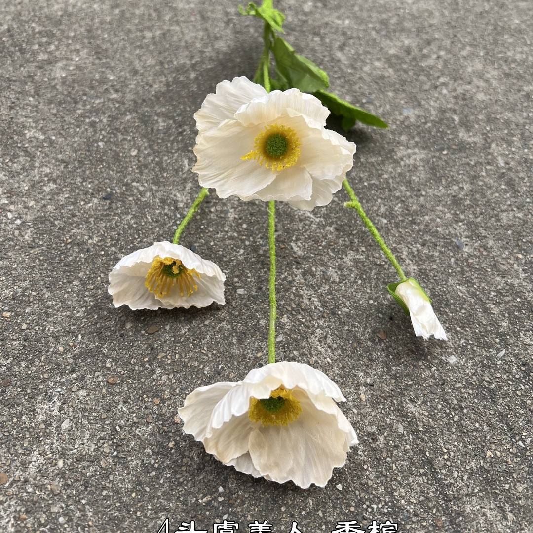 4 head popcorn champagne