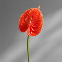 Tige d'Anthurium Artificielle Petite Fleur Tropicale au Toucher Réel pour Décoration de Table Moderne Mariage Maison Vente en Gros