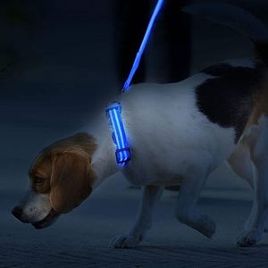 Correa para Perro de Nailon Ecológica Reflectante de 2.5cm con Patrón Sólido y Luces <span class=keywords><strong>LED</strong></span>, Decoración de Cinta de 150cm, Venta al Por Mayor - Product Image 2