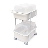 Chariot de rangement à 2 niveaux Plafarm 2e génération Cocomaam, avec couvercle, anti-poussière, en plastique et acier, mobile, design moderne et fonctionnel, pour la maison
