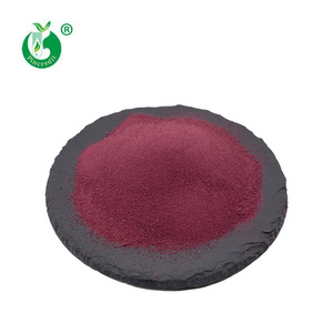 Produttore Pincredit prezzo all'ingrosso barbabietola rossa radice di barbabietola biologica in polvere - Product Image 2