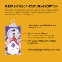 Sachets absorbants d'humidité au chlorure de calcium de qualité supérieure, sans parfum, pour placards, caravanes et camping-cars