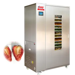 Tomaat Droogapparatuur Industriële Voedsel Dehydrator Voor Fruit En Groente Tray Droger