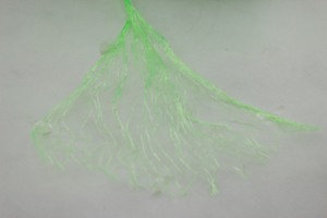 PP phim dây 1 mét nông nghiệp Baler twine màu xanh PP fibrillated vườn twine nhựa <span class=keywords><strong>Raffia</strong></span> - Product Image 5