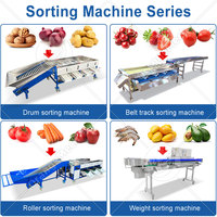 ORME Fruitverwerkingsmachine, machine voor het sorteren van verse citroenen, machine voor het sorteren en kalibreren van dadelpalmen en tomaten.