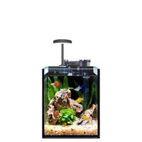 Desktop-Aquarium mit Pflanzen, pflegeleichtes Fischbecken mit schwarzem Rückwand-Nano-Tank für Betta, Garnelen und Aquascaping