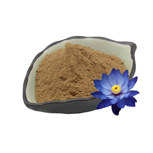 純粋な蓮の葉エキス ネルムボ・ヌチフェラエキス 蓮の葉エキス粉末 - Product Image 5